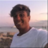 Dr. Davide Di Palma avatar image