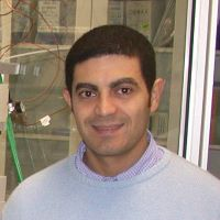 Prof. Dr. Eugenio Aprea avatar image