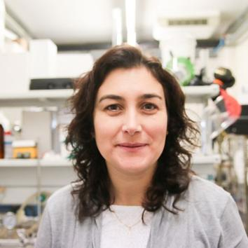 Dr. Salomé Soares avatar image