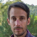 Prof. Dr. François Billaut avatar image