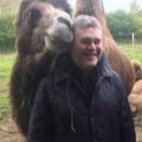 Dr. Adrian Paul Harrison avatar image