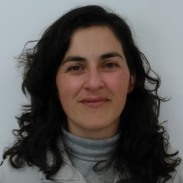 Dr. Rosa Perestrelo avatar image