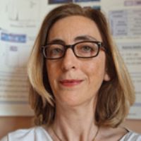 Dr. Dominique Scalarone avatar image