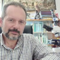 Prof. Dr. Razvan Mihail Radu-Rusu avatar image