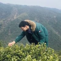 Dr. Peng Yan avatar image