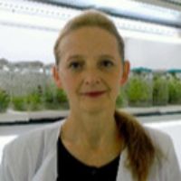 Dr. Doina Clapa avatar image