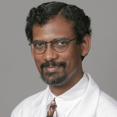 Prof. Dr. Erle S. Robertson avatar image