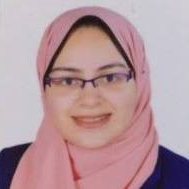 Dr. Alaa Bedair avatar image