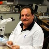 Dr. Simon Francis Shamoun avatar image