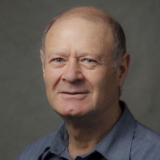 Prof. Dr. Arkady Voloshin avatar image