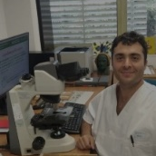 Dr. Viscardo Paolo Fabbri avatar image