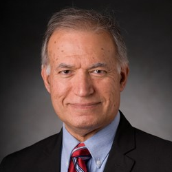 Prof. Dr. Ali Memari avatar image