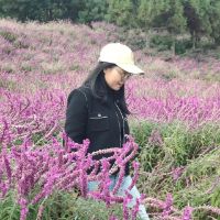 Dr. Yanguo Ke avatar image