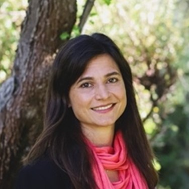 Dr. Mariana Hamer avatar image