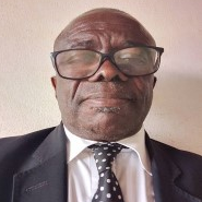 Dr. Michel Mbessa avatar image