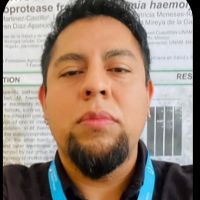 Dr. Gerardo Ramírez-Rico avatar image
