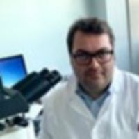 Dr. Eliano Cascardi avatar image