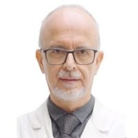 Dr. Enrico Armato avatar image