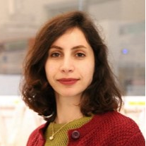 Dr. Fatemeh Mokhtari avatar image