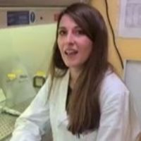 Dr. Chiara Giannasi avatar image