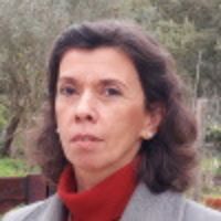 Dr. Mariana Bernardino avatar image