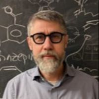 Prof. Dr. Henrik Ottosson avatar image