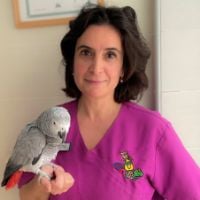 Dr. María Ardiaca-García avatar image