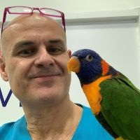 Dr. Andrés Montesinos avatar image