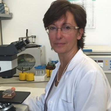 Dr. Delia Mezzanzanica avatar image