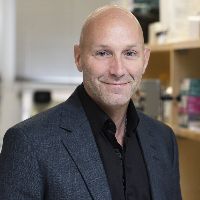 Prof. Dr. David Fortin avatar image