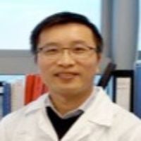 Dr. Kevin Tak-Pan Ng avatar image
