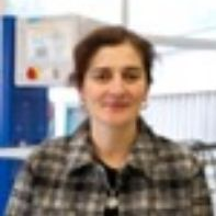 Dr. Mara Cea avatar image