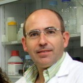 Prof. Dr. Francisco Plou avatar image
