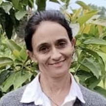 Prof. Dr. Paula Alayón-Luaces avatar image