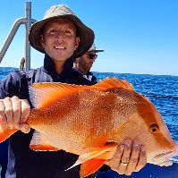 Dr. Peter G. Coulson avatar image