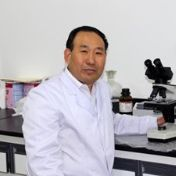 Prof. Dr. Guifang Cao avatar image