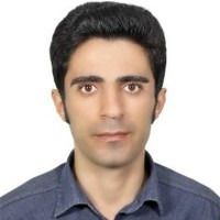 Dr. Edris Choupani avatar image