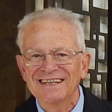 Prof. Dr. Paolo Ferruti avatar image