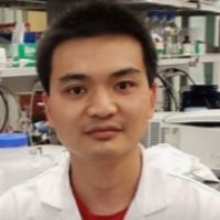 Dr. Qinfang Liu avatar image
