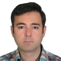 Dr. Shahin Homaeigohar avatar image