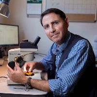 Dr. Andrew K. Davis avatar image