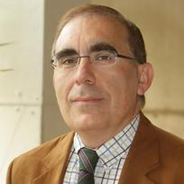 Prof. Dr. Javier Faulin avatar image