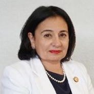 Prof. Dr. Alicia Girón avatar image