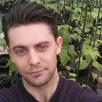 Dr. Valerio Di Vittori avatar image