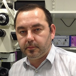 Prof. Dr. Alexander Brill avatar image