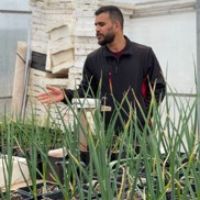 Dr. Mohammed Bouhadi avatar image