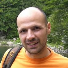 Prof. Dr. Michele Tomaiuolo avatar image