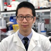 Dr. Wensi Tao avatar image