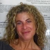 Prof. Laura Menchetti avatar image