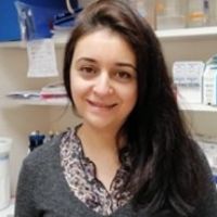 Dr. Nesrine Aissaoui avatar image